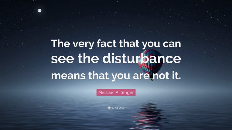 Michael A. Singer Quote: “The very fact that you can see the disturbance means that you are not it.”