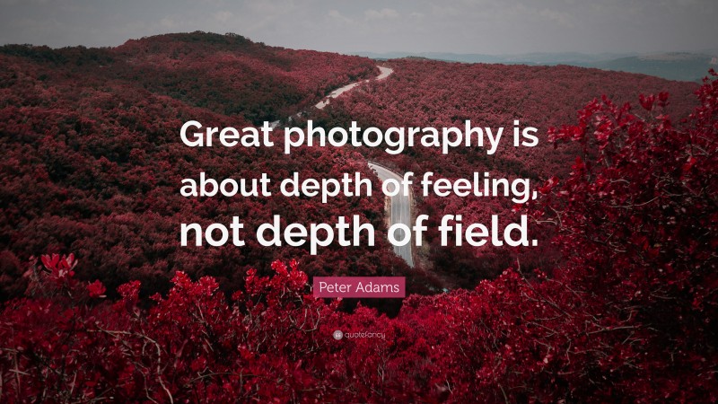 Peter Adams Quote: “Great photography is about depth of feeling, not depth of field.”