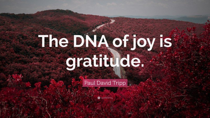 Paul David Tripp Quote: “The DNA of joy is gratitude.”