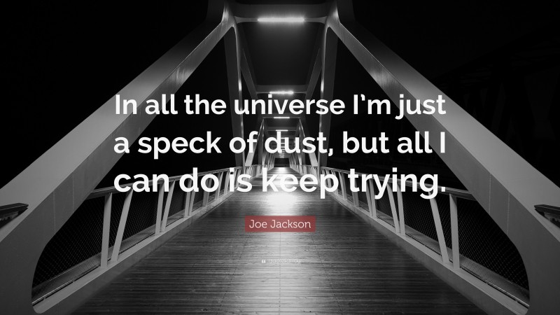 Joe Jackson Quote: “In all the universe I’m just a speck of dust, but all I can do is keep trying.”