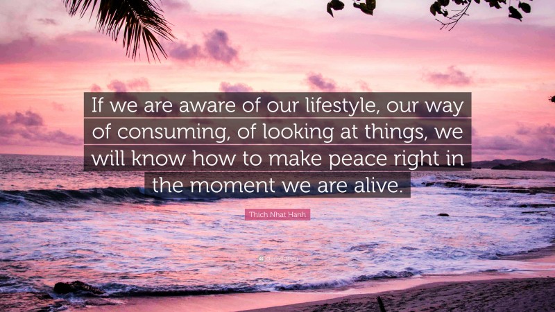Thich Nhat Hanh Quote: “If we are aware of our lifestyle, our way of consuming, of looking at things, we will know how to make peace right in the moment we are alive.”