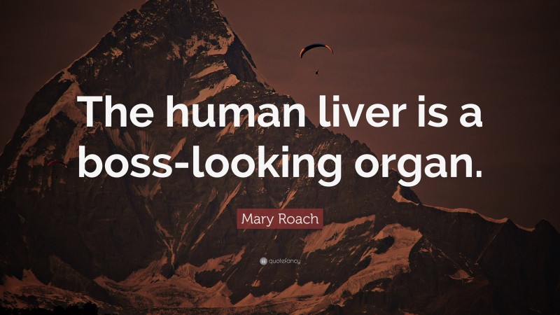 Mary Roach Quote: “The human liver is a boss-looking organ.”
