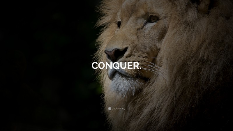 “CONQUER.” — Desktop Wallpaper