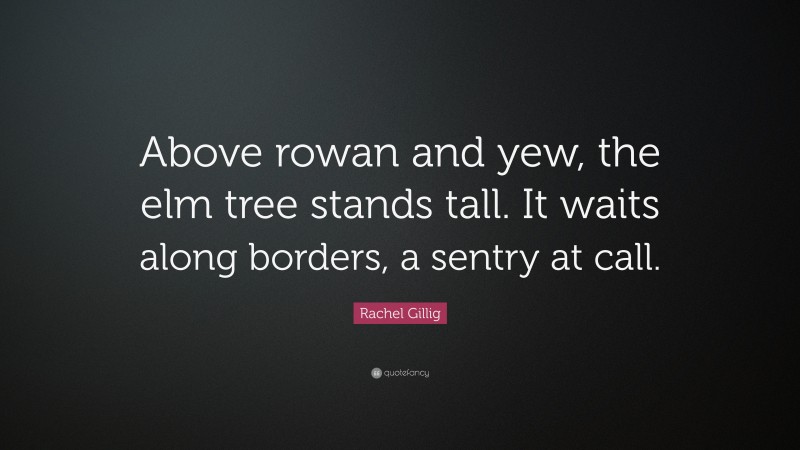 Rachel Gillig Quote: “Above rowan and yew, the elm tree stands tall. It waits along borders, a sentry at call.”