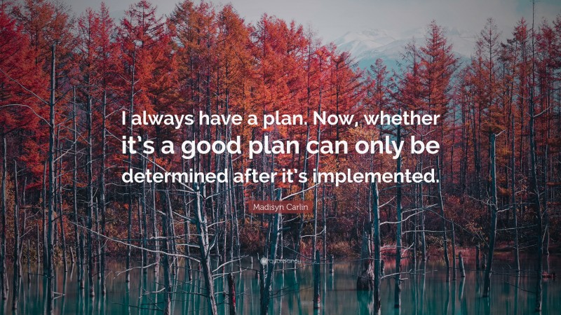 Madisyn Carlin Quote: “I always have a plan. Now, whether it’s a good plan can only be determined after it’s implemented.”