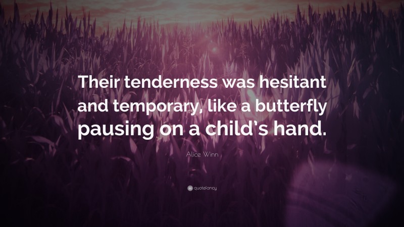 Alice Winn Quote: “Their tenderness was hesitant and temporary, like a butterfly pausing on a child’s hand.”