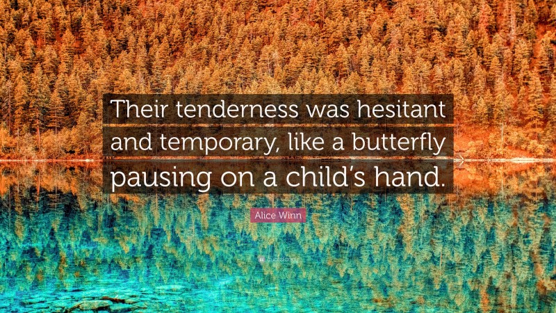 Alice Winn Quote: “Their tenderness was hesitant and temporary, like a butterfly pausing on a child’s hand.”