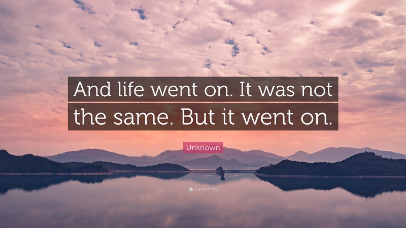 Unknown Quote: “And life went on. It was not the same. But it went on.”