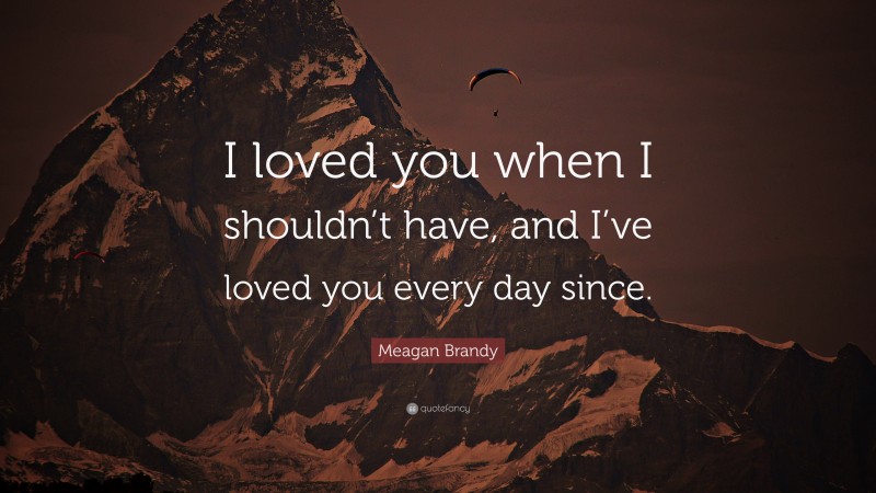 Meagan Brandy Quote: “I loved you when I shouldn’t have, and I’ve loved you every day since.”