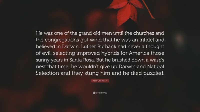 John Dos Passos Quote: “He was one of the grand old men until the churches and the congregations got wind that he was an infidel and believed in Darwin. Luther Burbank had never a thought of evil, selecting improved hybrids for America those sunny years in Santa Rosa. But he brushed down a wasp’s nest that time; he wouldn’t give up Darwin and Natural Selection and they stung him and he died puzzled.”
