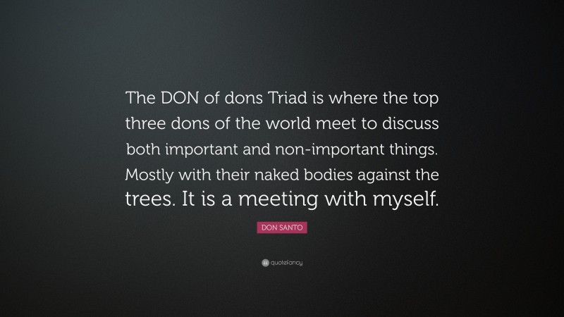 DON SANTO Quote: “The DON of dons Triad is where the top three dons of the world meet to discuss both important and non-important things. Mostly with their naked bodies against the trees. It is a meeting with myself.”