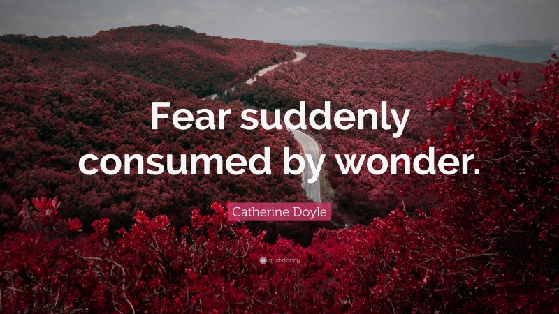 Catherine Doyle Quote: “Fear suddenly consumed by wonder.”