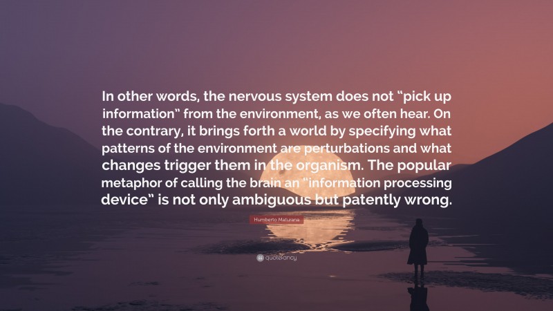 Humberto Maturana Quote: “In other words, the nervous system does not “pick up information” from the environment, as we often hear. On the contrary, it brings forth a world by specifying what patterns of the environment are perturbations and what changes trigger them in the organism. The popular metaphor of calling the brain an “information processing device” is not only ambiguous but patently wrong.”