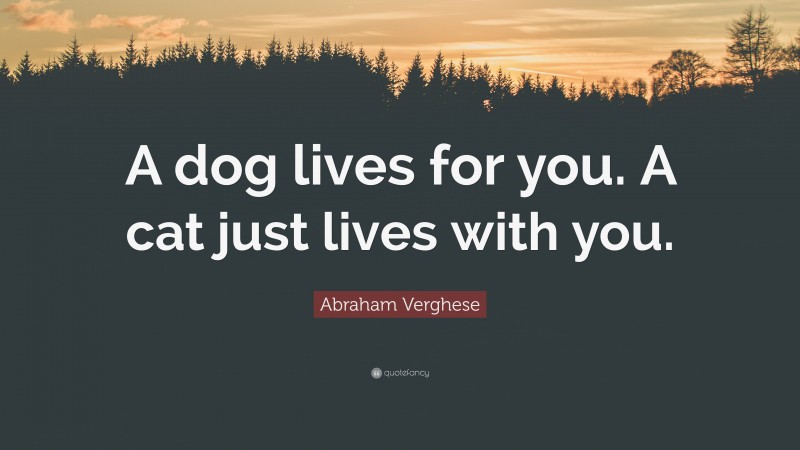 Abraham Verghese Quote: “A dog lives for you. A cat just lives with you.”