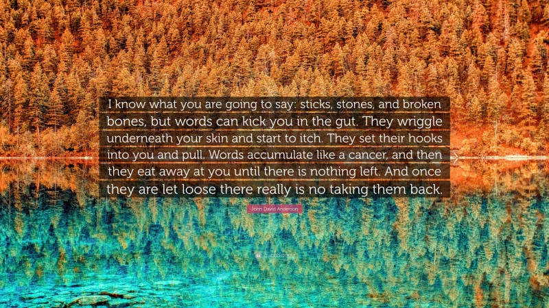 John David Anderson Quote: “I know what you are going to say: sticks, stones, and broken bones, but words can kick you in the gut. They wriggle underneath your skin and start to itch. They set their hooks into you and pull. Words accumulate like a cancer, and then they eat away at you until there is nothing left. And once they are let loose there really is no taking them back.”