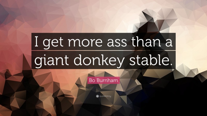 Bo Burnham Quote: “I get more ass than a giant donkey stable.”