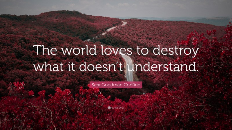 Sara Goodman Confino Quote: “The world loves to destroy what it doesn’t understand.”