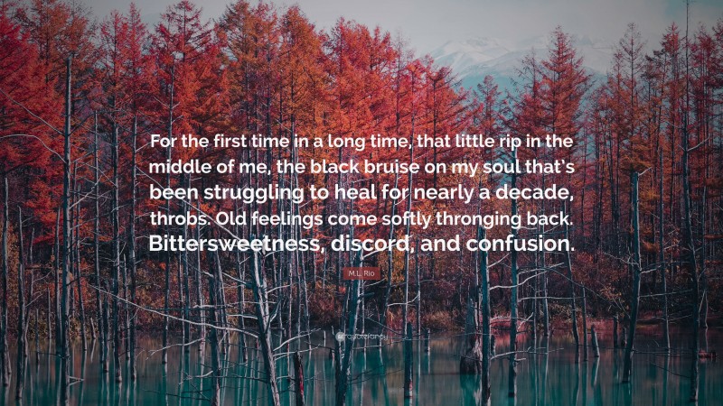M.L. Rio Quote: “For the first time in a long time, that little rip in the middle of me, the black bruise on my soul that’s been struggling to heal for nearly a decade, throbs. Old feelings come softly thronging back. Bittersweetness, discord, and confusion.”