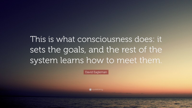 David Eagleman Quote: “This is what consciousness does: it sets the goals, and the rest of the system learns how to meet them.”