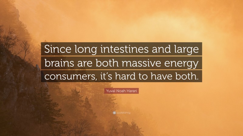 Yuval Noah Harari Quote: “Since long intestines and large brains are both massive energy consumers, it’s hard to have both.”