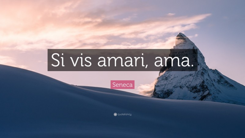 Seneca Quote: “Si vis amari, ama.”