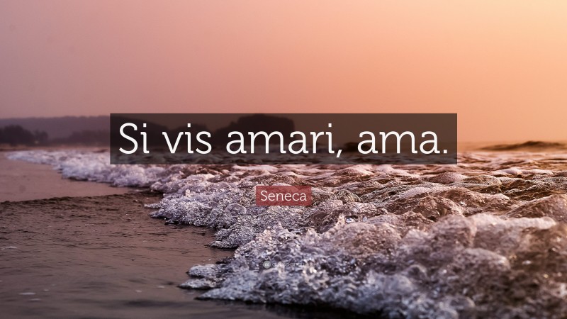 Seneca Quote: “Si vis amari, ama.”