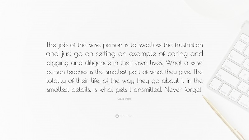 David Brooks Quote: “The job of the wise person is to swallow the frustration and just go on setting an example of caring and digging and diligence in their own lives. What a wise person teaches is the smallest part of what they give. The totality of their life, of the way they go about it in the smallest details, is what gets transmitted. Never forget.”