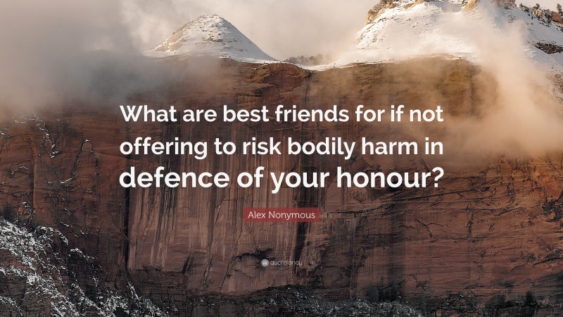 Alex Nonymous Quote: “What are best friends for if not offering to risk bodily harm in defence of your honour?”