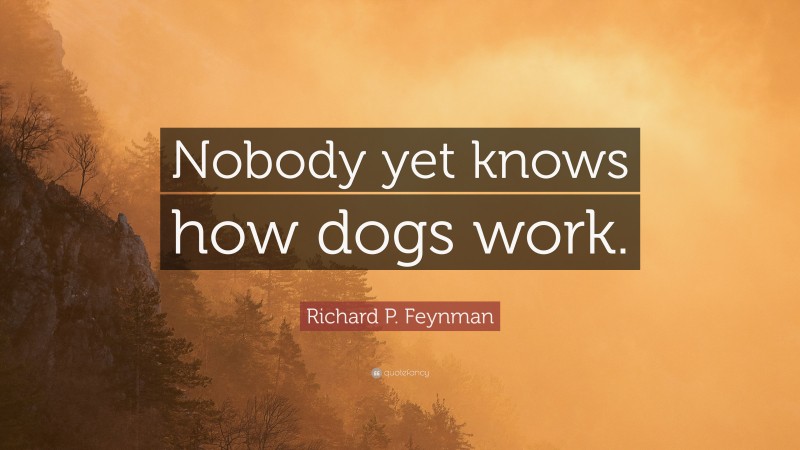 Richard P. Feynman Quote: “Nobody yet knows how dogs work.”