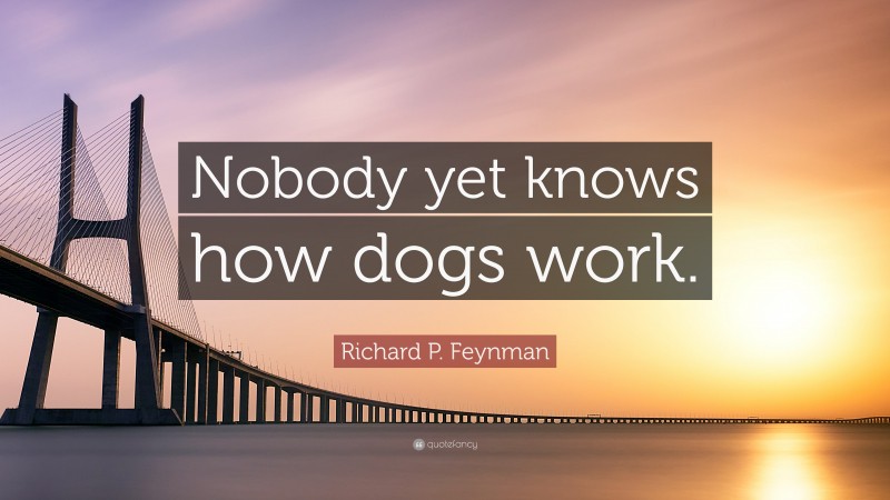 Richard P. Feynman Quote: “Nobody yet knows how dogs work.”