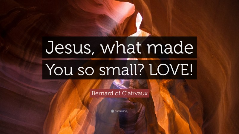 Bernard of Clairvaux Quote: “Jesus, what made You so small? LOVE!”