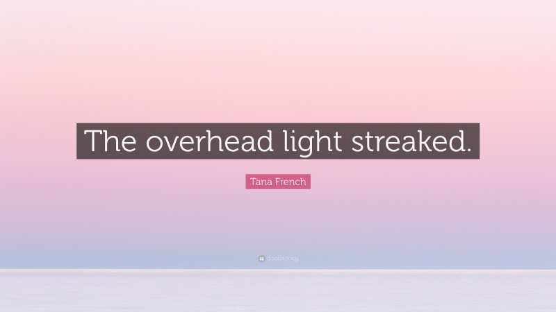 Tana French Quote: “The overhead light streaked.”
