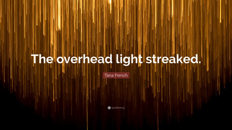 Tana French Quote: “The overhead light streaked.”