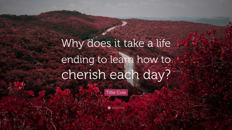 Tillie Cole Quote: “Why does it take a life ending to learn how to cherish each day?”