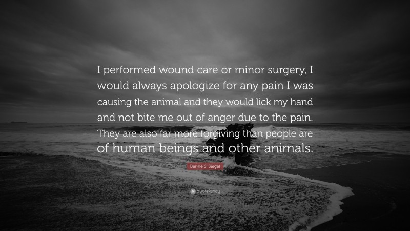 Bernie S. Siegel Quote: “I performed wound care or minor surgery, I would always apologize for any pain I was causing the animal and they would lick my hand and not bite me out of anger due to the pain. They are also far more forgiving than people are of human beings and other animals.”