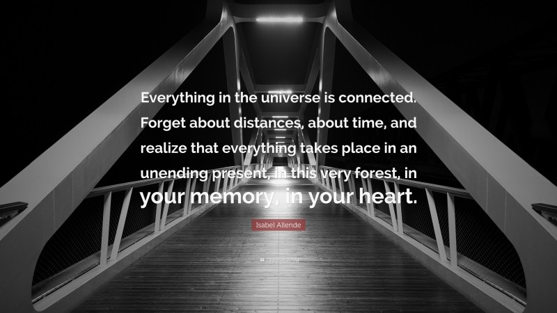 Isabel Allende Quote: “Everything in the universe is connected. Forget about distances, about time, and realize that everything takes place in an unending present, in this very forest, in your memory, in your heart.”