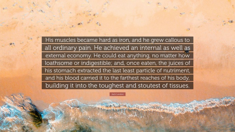 Jack London Quote: “His muscles became hard as iron, and he grew callous to all ordinary pain. He achieved an internal as well as external economy. He could eat anything, no matter how loathsome or indigestible; and, once eaten, the juices of his stomach extracted the last least particle of nutriment, and his blood carried it to the farthest reaches of his body, building it into the toughest and stoutest of tissues.”