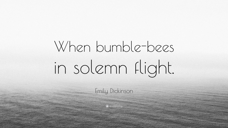 Emily Dickinson Quote: “When bumble-bees in solemn flight.”