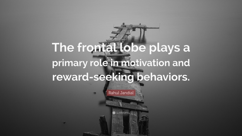 Rahul Jandial Quote: “The frontal lobe plays a primary role in motivation and reward-seeking behaviors.”