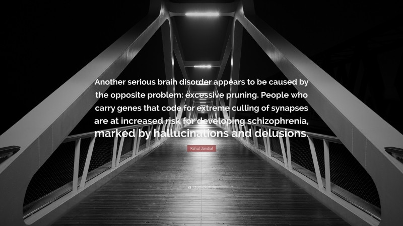 Rahul Jandial Quote: “Another serious brain disorder appears to be caused by the opposite problem: excessive pruning. People who carry genes that code for extreme culling of synapses are at increased risk for developing schizophrenia, marked by hallucinations and delusions.”