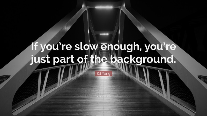 Ed Yong Quote: “If you’re slow enough, you’re just part of the background.”