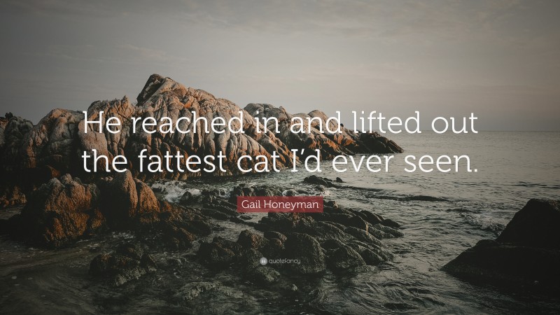 Gail Honeyman Quote: “He reached in and lifted out the fattest cat I’d ever seen.”