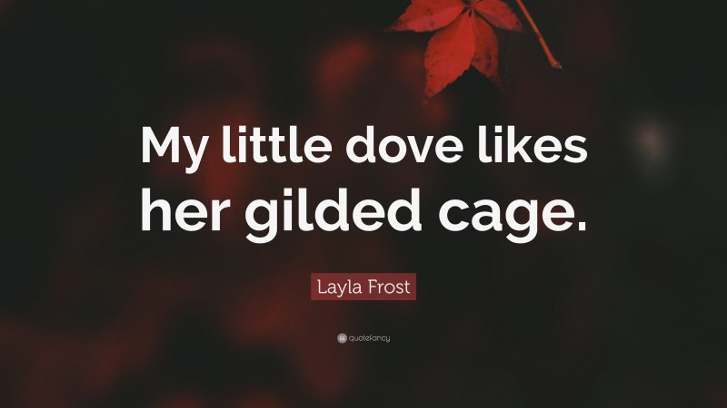 Layla Frost Quote: “My little dove likes her gilded cage.”