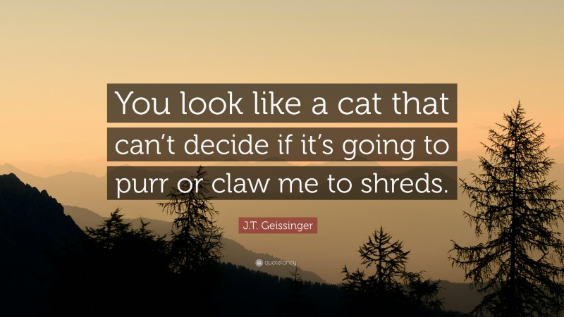 J.T. Geissinger Quote: “You look like a cat that can’t decide if it’s going to purr or claw me to shreds.”