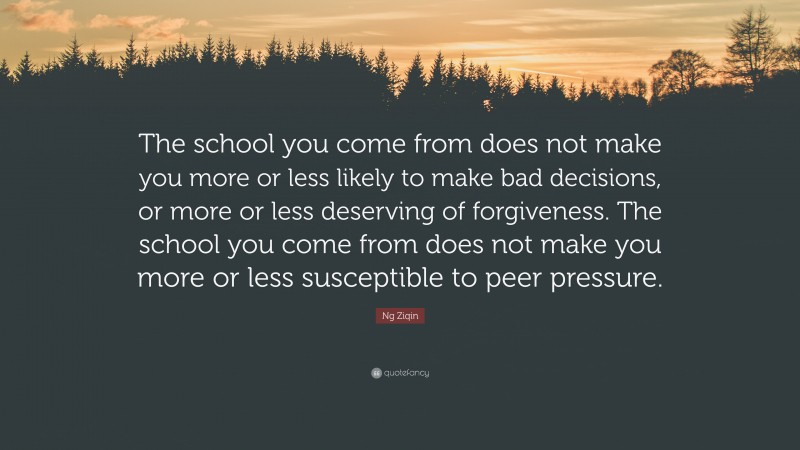 Ng Ziqin Quote: “The school you come from does not make you more or less likely to make bad decisions, or more or less deserving of forgiveness. The school you come from does not make you more or less susceptible to peer pressure.”