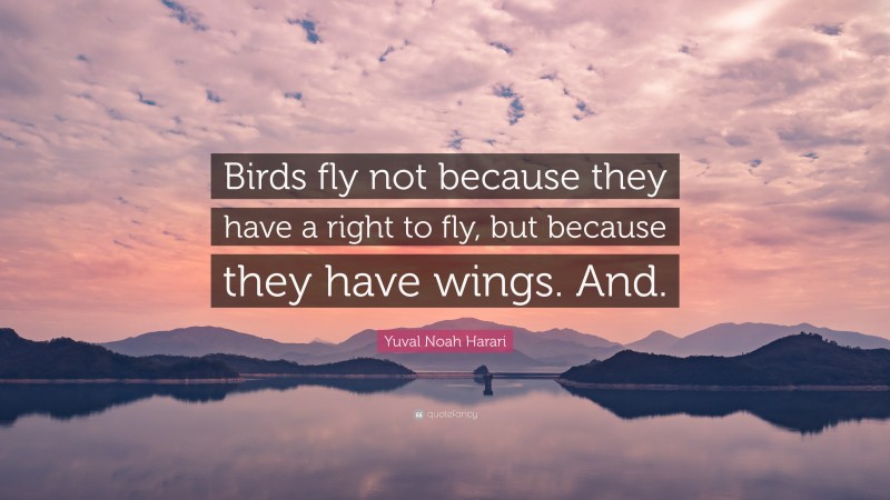 Yuval Noah Harari Quote: “Birds fly not because they have a right to ...