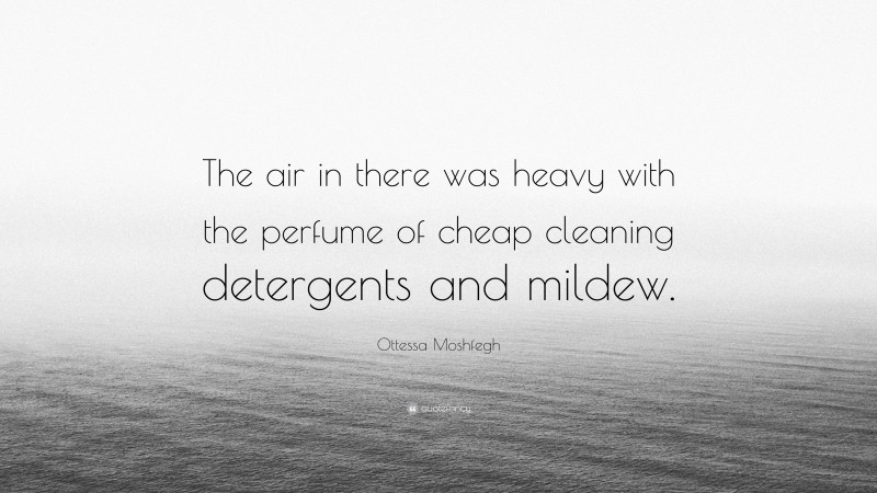 Ottessa Moshfegh Quote: “The air in there was heavy with the perfume of cheap cleaning detergents and mildew.”