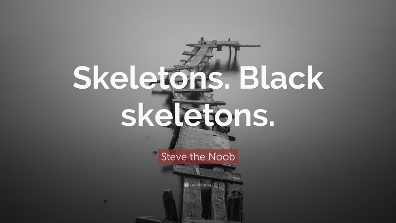 Steve the Noob Quote: “Skeletons. Black skeletons.”