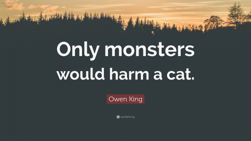Owen King Quote: “Only monsters would harm a cat.”