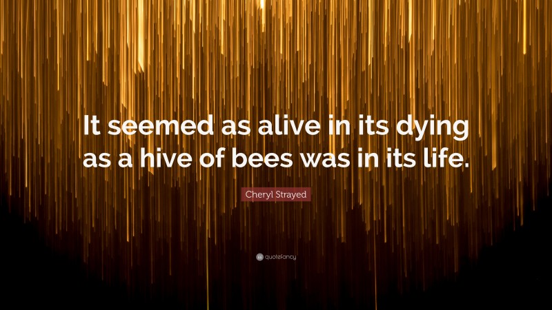 Cheryl Strayed Quote: “It seemed as alive in its dying as a hive of bees was in its life.”